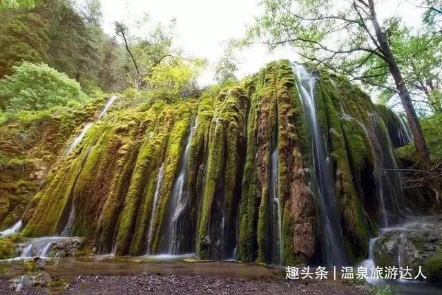万泰生物净利跌近八成，二价HPV疫苗销量暴跌超40亿